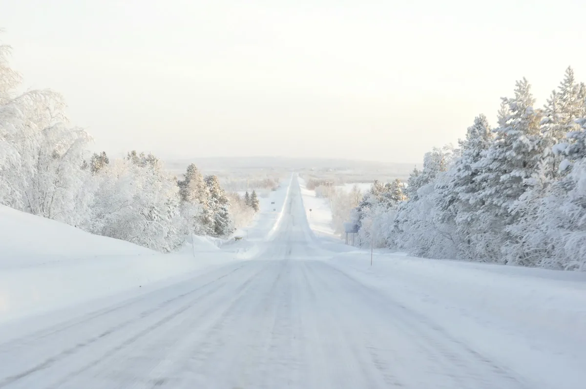 A snowy road with trees on either side.